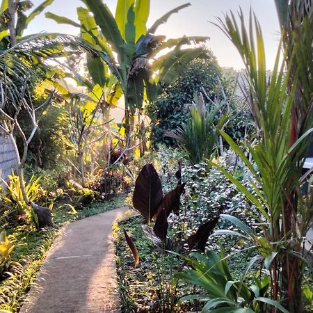 Buntera Homestay Sidemen Exterior foto