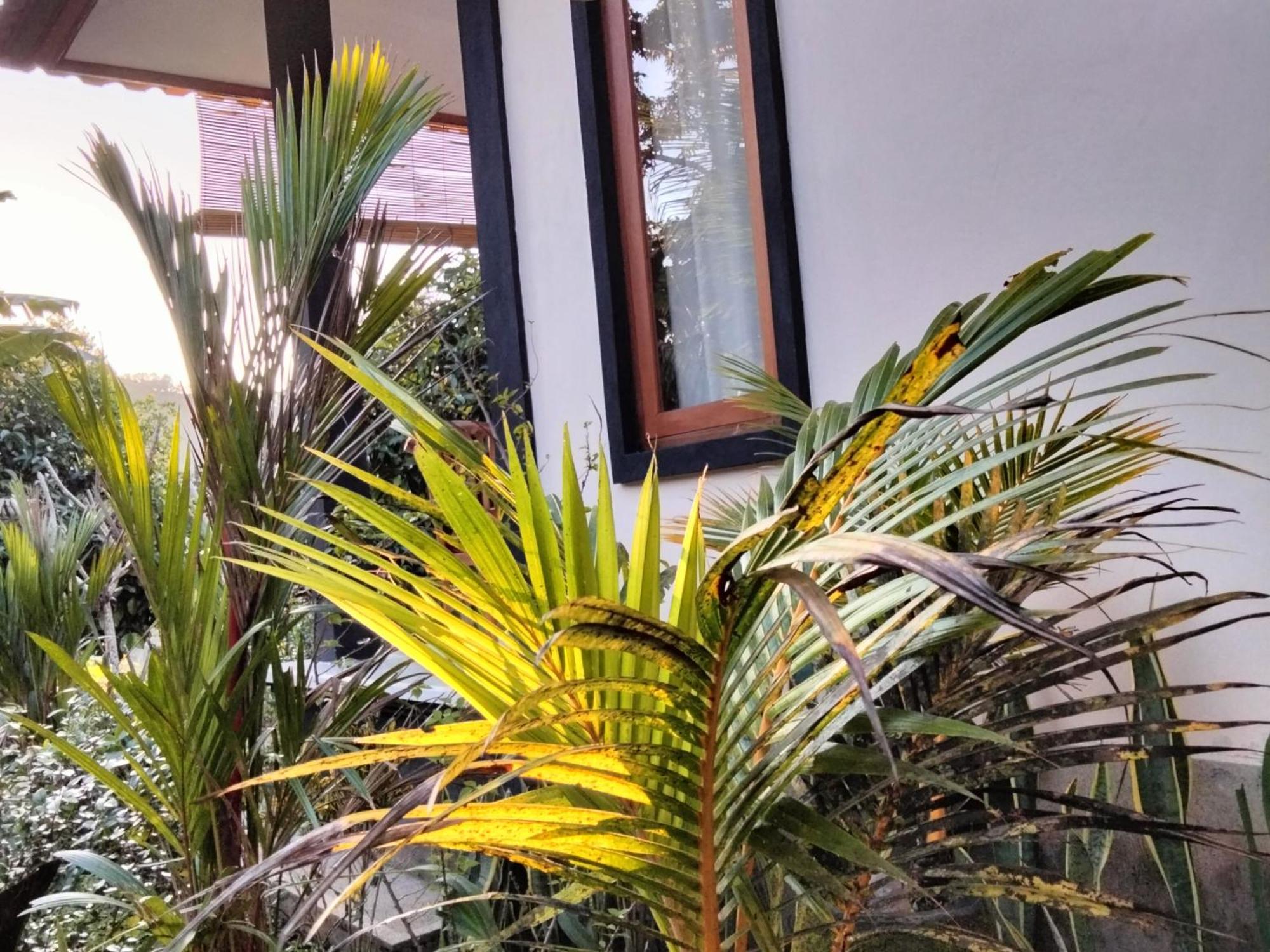 Buntera Homestay Sidemen Exterior foto