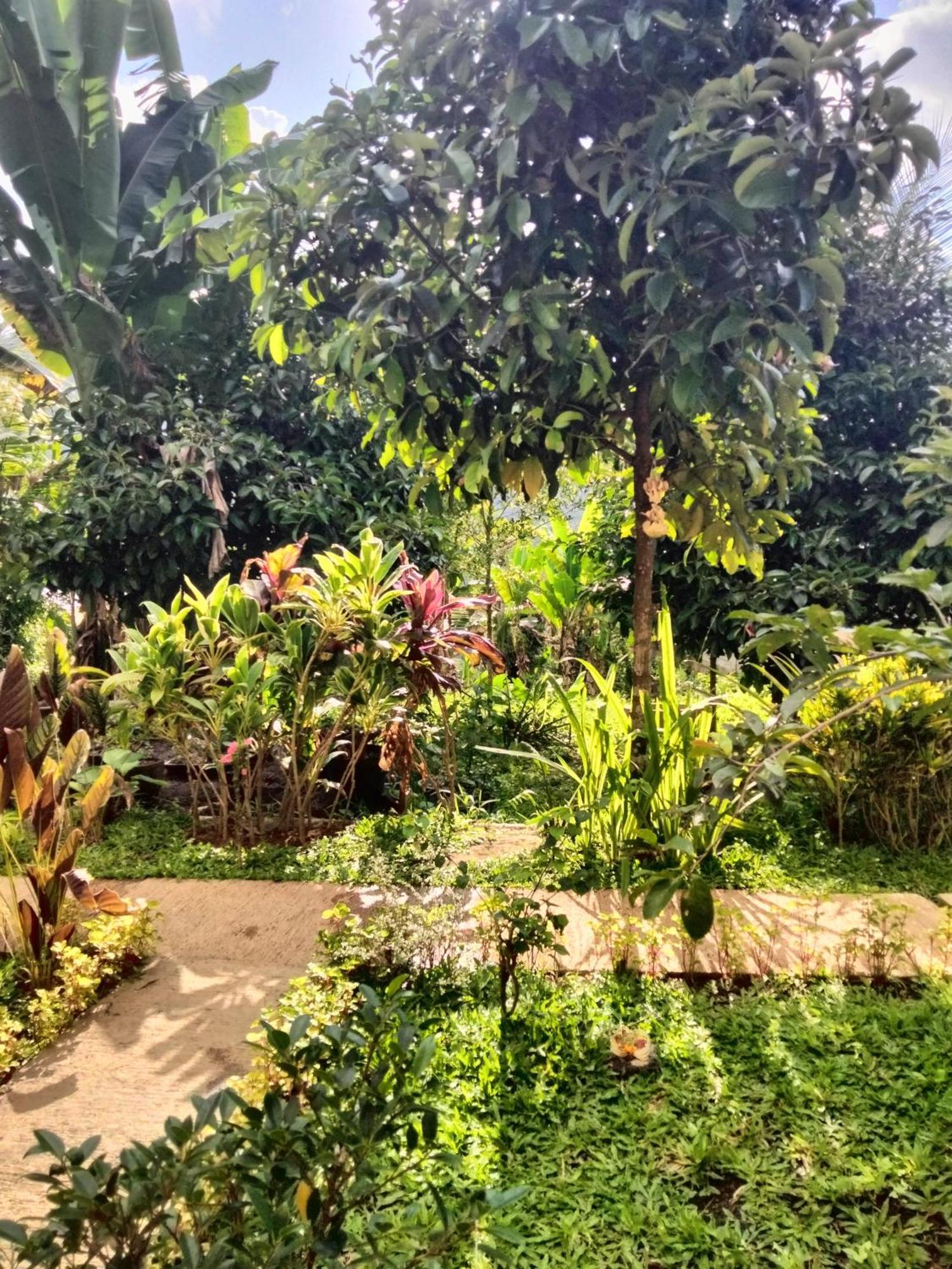 Buntera Homestay Sidemen Exterior foto