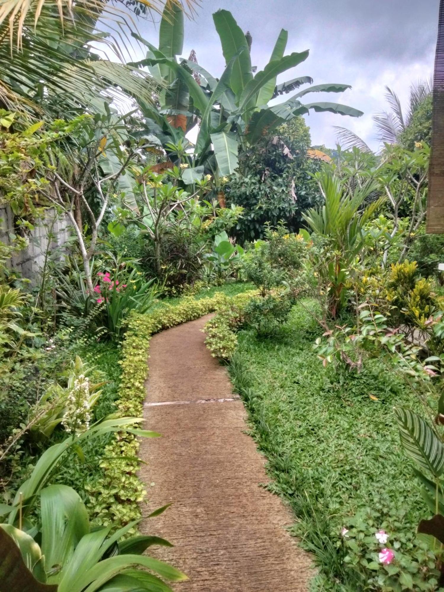 Buntera Homestay Sidemen Exterior foto